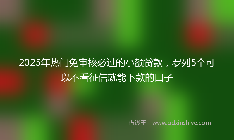 2025年热门免审核必过的小额贷款，罗列5个可以不看征信就能下款的口子