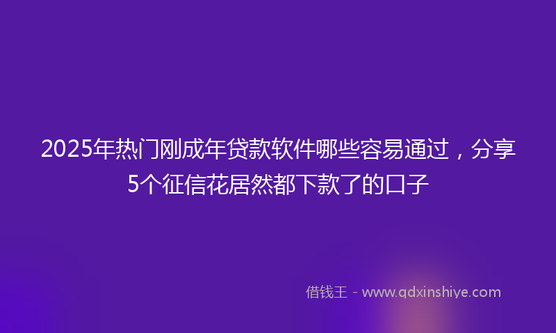 2025年热门刚成年贷款软件哪些容易通过，分享5个征信花居然都下款了的口子