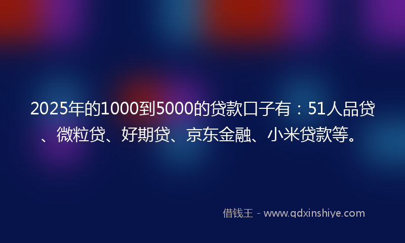 2025年的1000到5000的贷款口子有：51人品贷、微粒贷、好期贷、京东金融、小米贷款等。