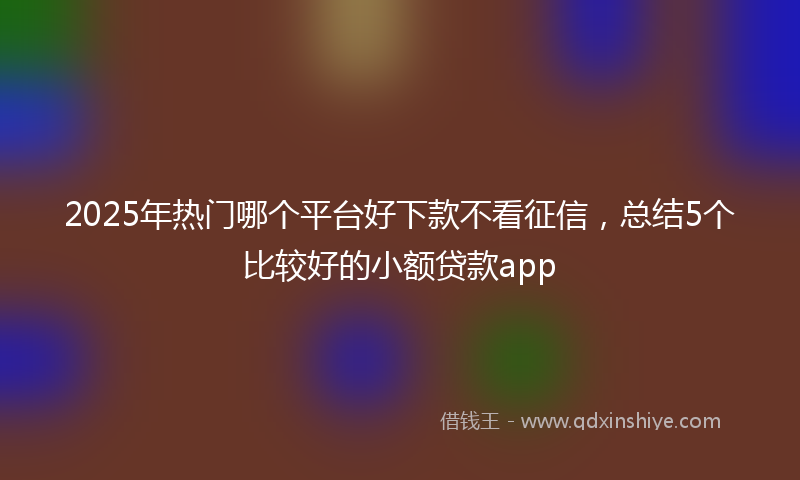 2025年热门哪个平台好下款不看征信，总结5个比较好的小额贷款app