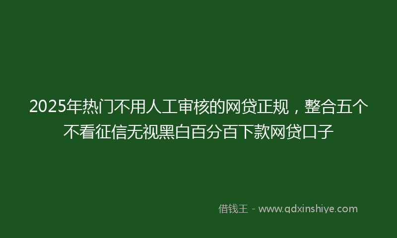 2025年热门不用人工审核的网贷正规，整合五个不看征信无视黑白百分百下款网贷口子