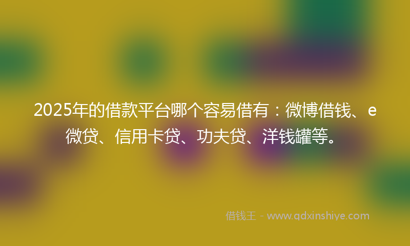 2025年的借款平台哪个容易借有：微博借钱、e微贷、信用卡贷、功夫贷、洋钱罐等。