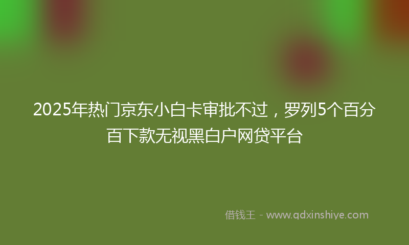 2025年热门京东小白卡审批不过，罗列5个百分百下款无视黑白户网贷平台