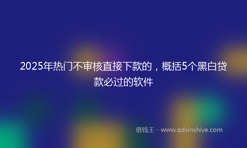 2025年热门不审核直接下款的，概括5个黑白贷款必过的软件