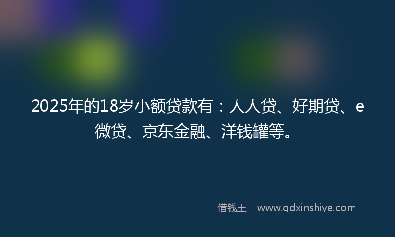 2025年的18岁小额贷款有：人人贷、好期贷、e微贷、京东金融、洋钱罐等。
