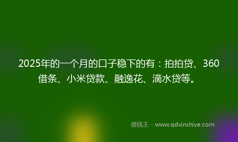 2025年的一个月的口子稳下的有：拍拍贷、360借条、小米贷款、融逸花、滴水贷等。