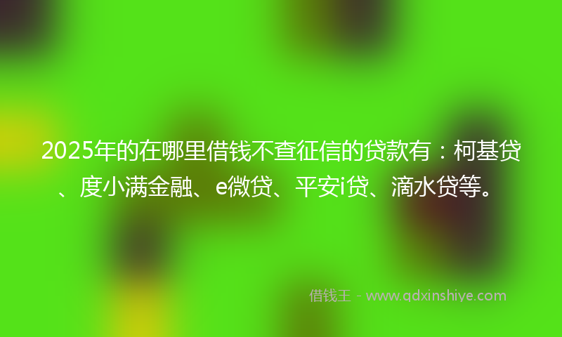 2025年的在哪里借钱不查征信的贷款有：柯基贷、度小满金融、e微贷、平安i贷、滴水贷等。
