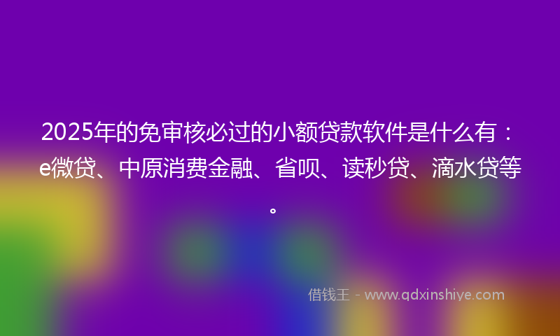 2025年的免审核必过的小额贷款软件是什么有：e微贷、中原消费金融、省呗、读秒贷、滴水贷等。