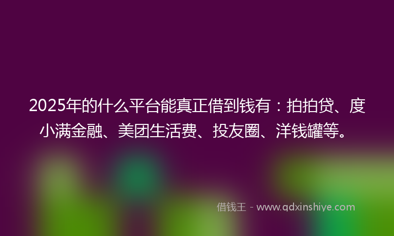 2025年的什么平台能真正借到钱有：拍拍贷、度小满金融、美团生活费、投友圈、洋钱罐等。
