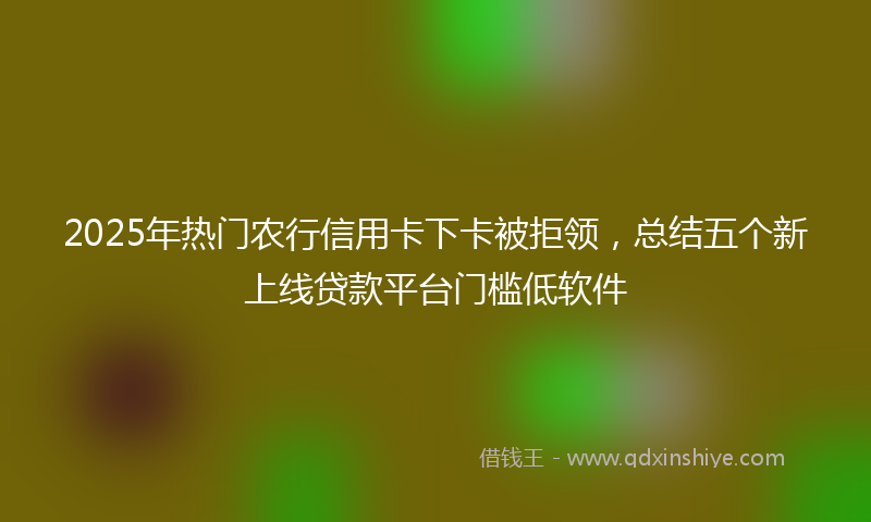 2025年热门农行信用卡下卡被拒领，总结五个新上线贷款平台门槛低软件