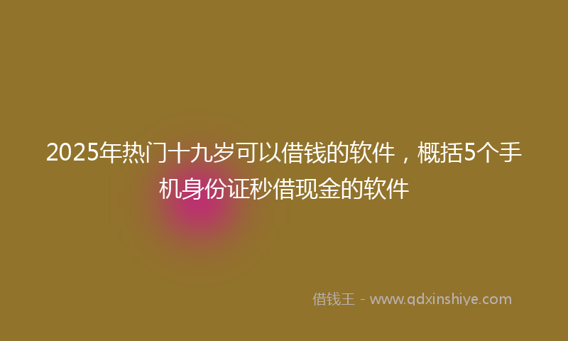2025年热门十九岁可以借钱的软件，概括5个手机身份证秒借现金的软件
