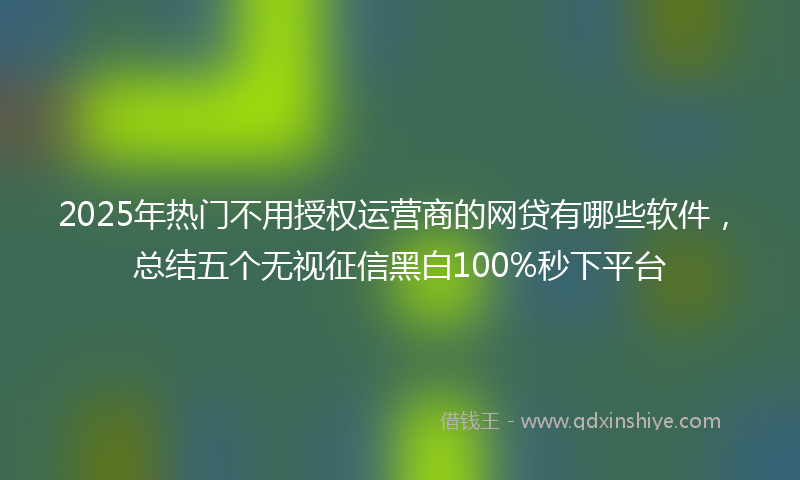 2025年热门不用授权运营商的网贷有哪些软件，总结五个无视征信黑白100%秒下平台