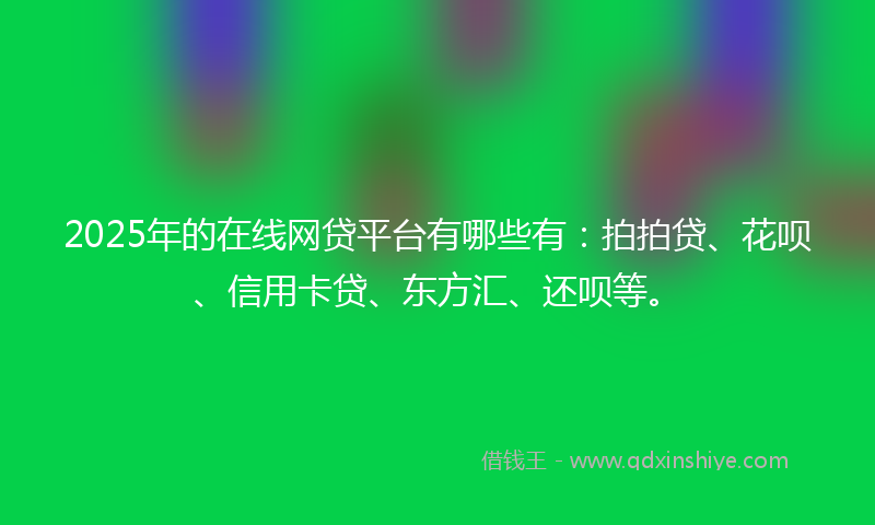 2025年的在线网贷平台有哪些有：拍拍贷、花呗、信用卡贷、东方汇、还呗等。