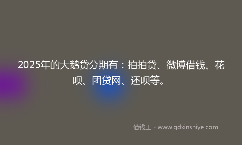 2025年的大鹅贷分期有：拍拍贷、微博借钱、花呗、团贷网、还呗等。
