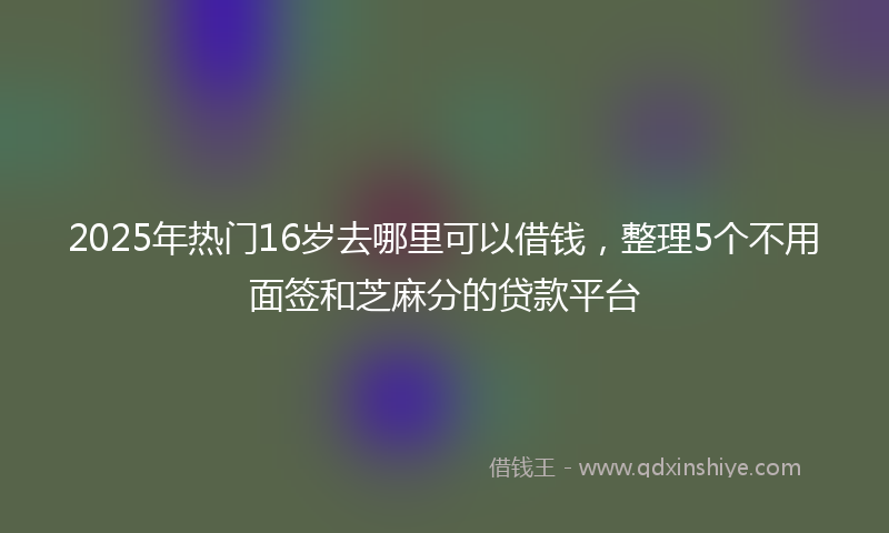 2025年热门16岁去哪里可以借钱，整理5个不用面签和芝麻分的贷款平台