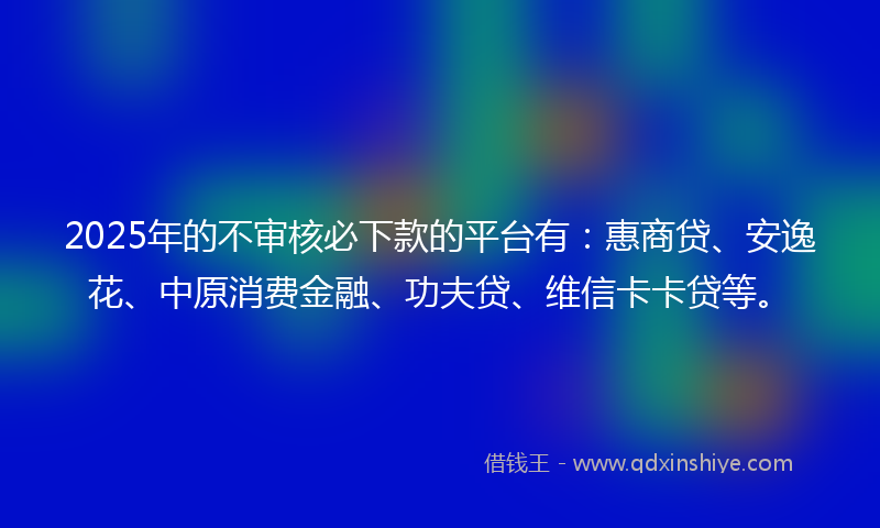 2025年的不审核必下款的平台有：惠商贷、安逸花、中原消费金融、功夫贷、维信卡卡贷等。