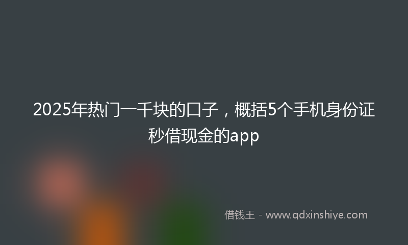2025年热门一千块的口子，概括5个手机身份证秒借现金的app