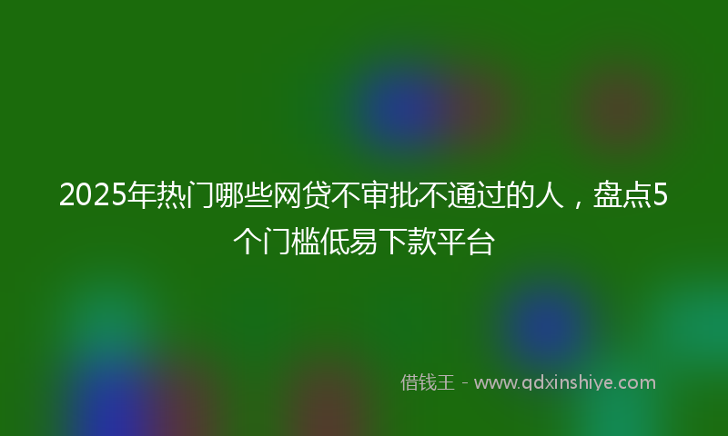 2025年热门哪些网贷不审批不通过的人，盘点5个门槛低易下款平台