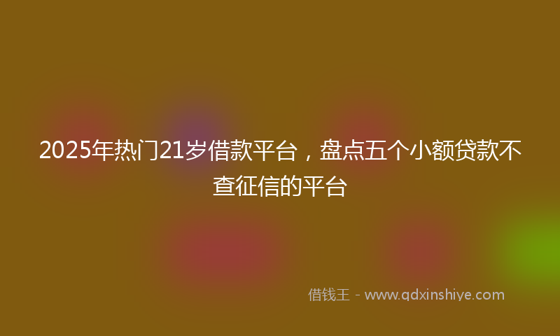 2025年热门21岁借款平台，盘点五个小额贷款不查征信的平台