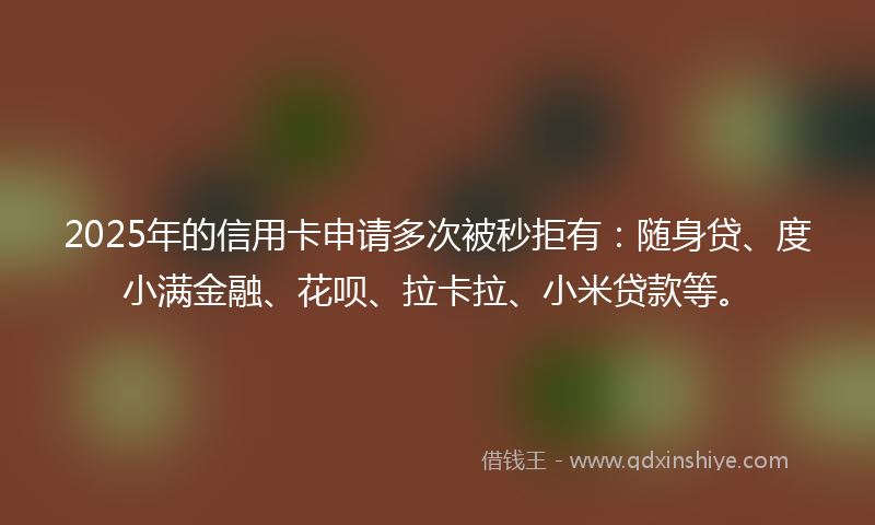 2025年的信用卡申请多次被秒拒有：随身贷、度小满金融、花呗、拉卡拉、小米贷款等。