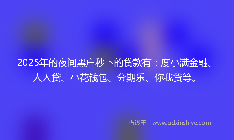 2025年的夜间黑户秒下的贷款有：度小满金融、人人贷、小花钱包、分期乐、你我贷等。