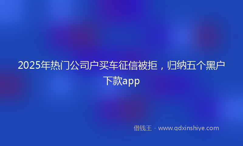 2025年热门公司户买车征信被拒，归纳五个黑户下款app