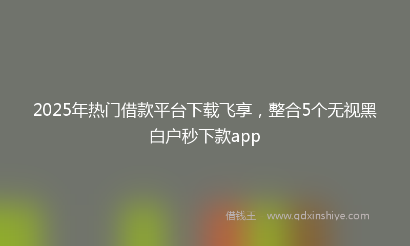2025年热门借款平台下载飞享，整合5个无视黑白户秒下款app