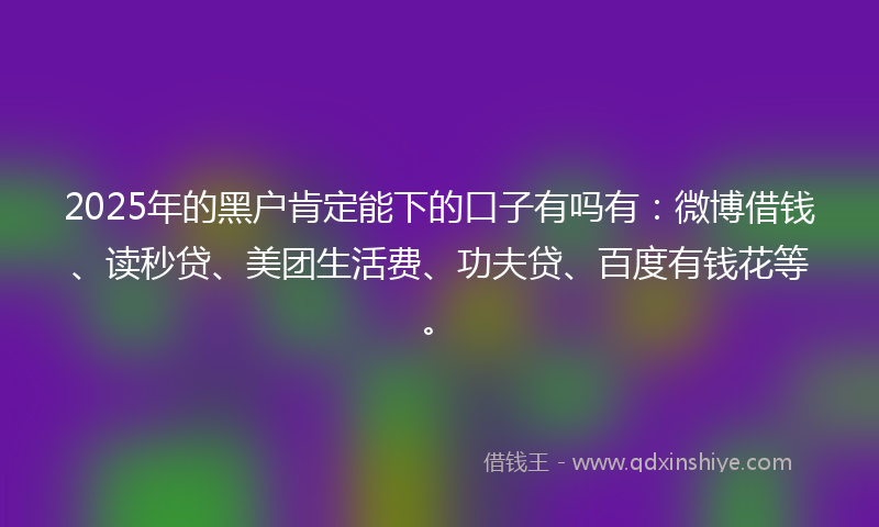 2025年的黑户肯定能下的口子有吗有：微博借钱、读秒贷、美团生活费、功夫贷、百度有钱花等。
