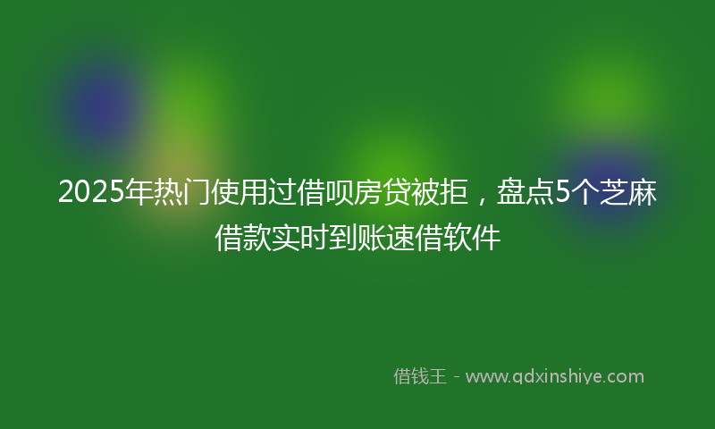2025年热门使用过借呗房贷被拒，盘点5个芝麻借款实时到账速借软件