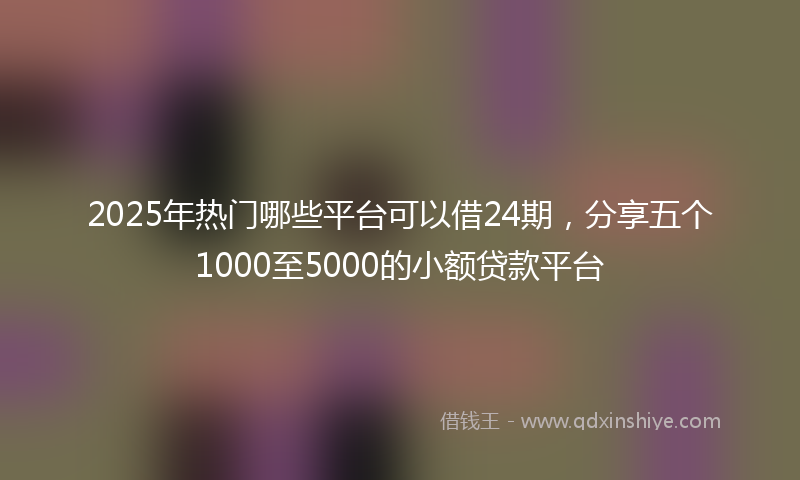 2025年热门哪些平台可以借24期，分享五个1000至5000的小额贷款平台
