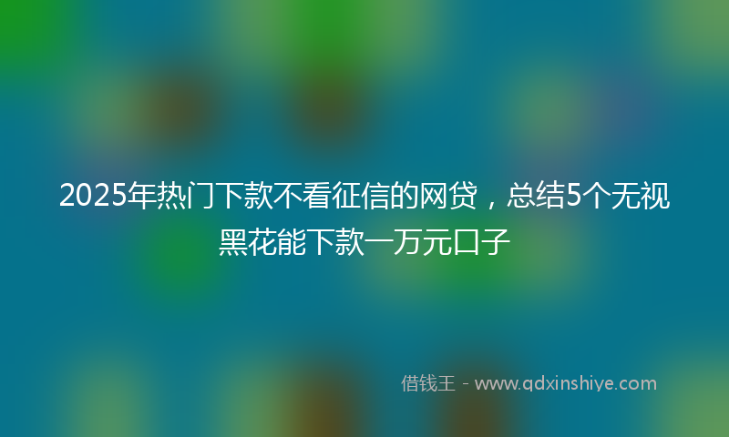 2025年热门下款不看征信的网贷，总结5个无视黑花能下款一万元口子
