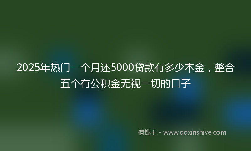 2025年热门一个月还5000贷款有多少本金，整合五个有公积金无视一切的口子