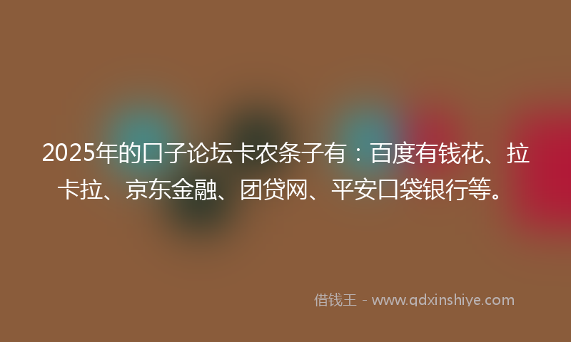 2025年的口子论坛卡农条子有：百度有钱花、拉卡拉、京东金融、团贷网、平安口袋银行等。