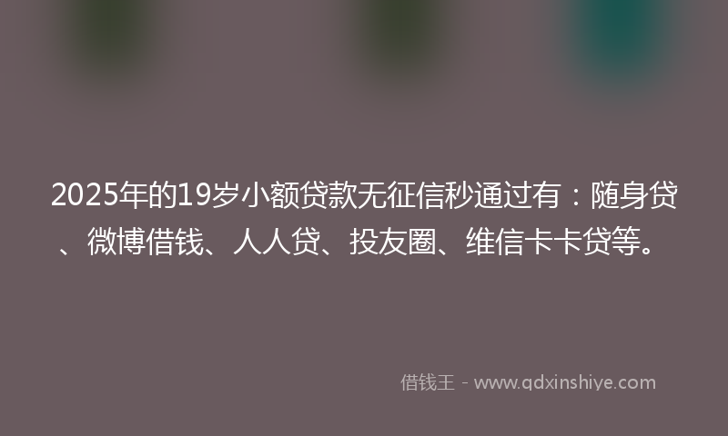 2025年的19岁小额贷款无征信秒通过有：随身贷、微博借钱、人人贷、投友圈、维信卡卡贷等。