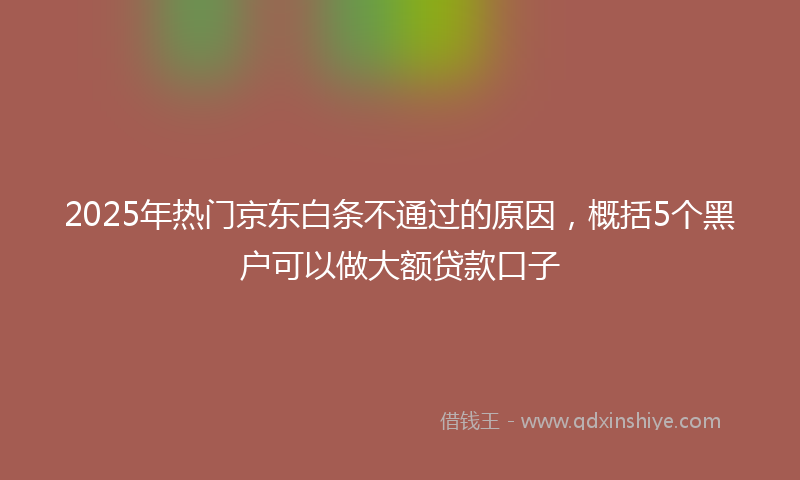 2025年热门京东白条不通过的原因，概括5个黑户可以做大额贷款口子
