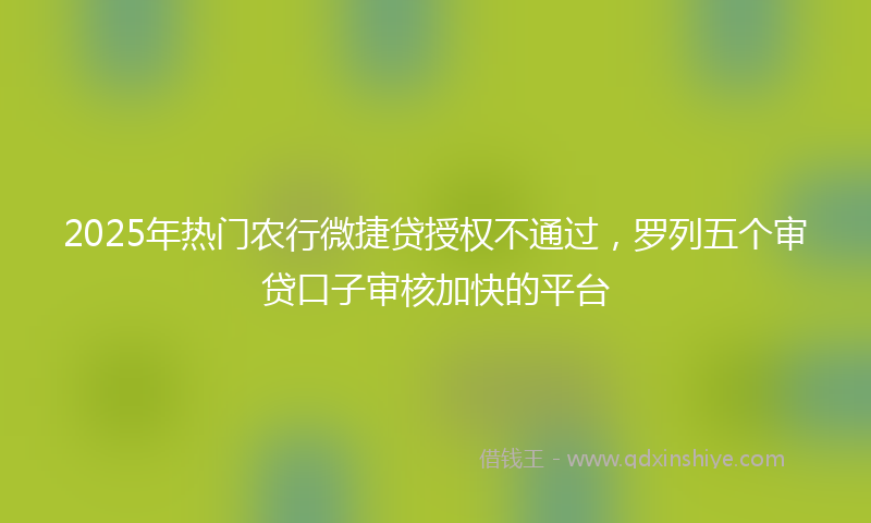 2025年热门农行微捷贷授权不通过，罗列五个审贷口子审核加快的平台