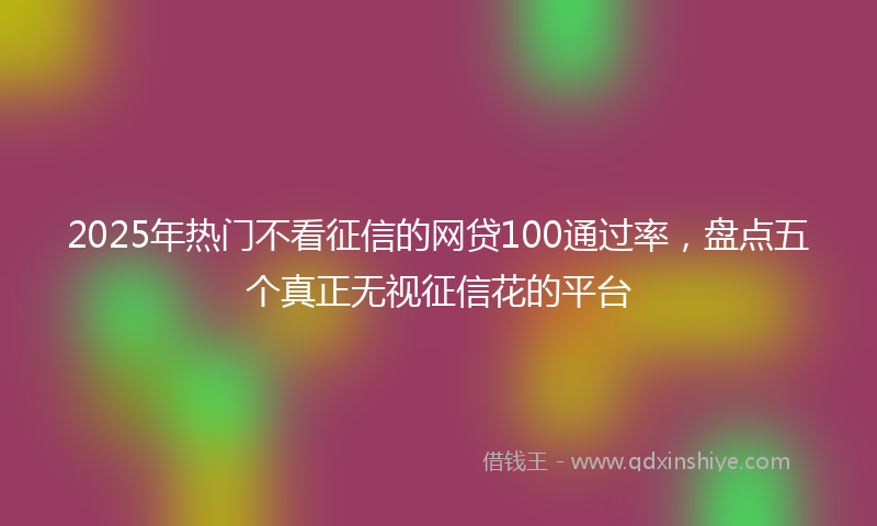 2025年热门不看征信的网贷100通过率，盘点五个真正无视征信花的平台