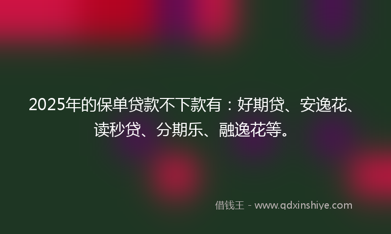 2025年的保单贷款不下款有：好期贷、安逸花、读秒贷、分期乐、融逸花等。