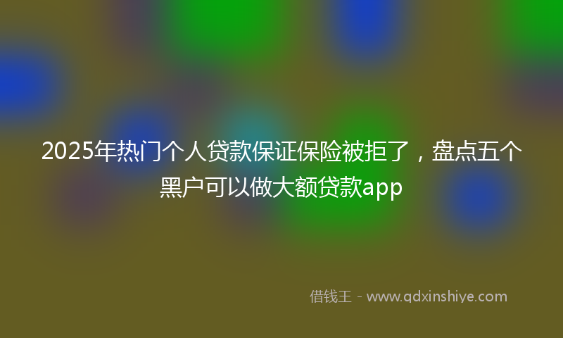 2025年热门个人贷款保证保险被拒了，盘点五个黑户可以做大额贷款app