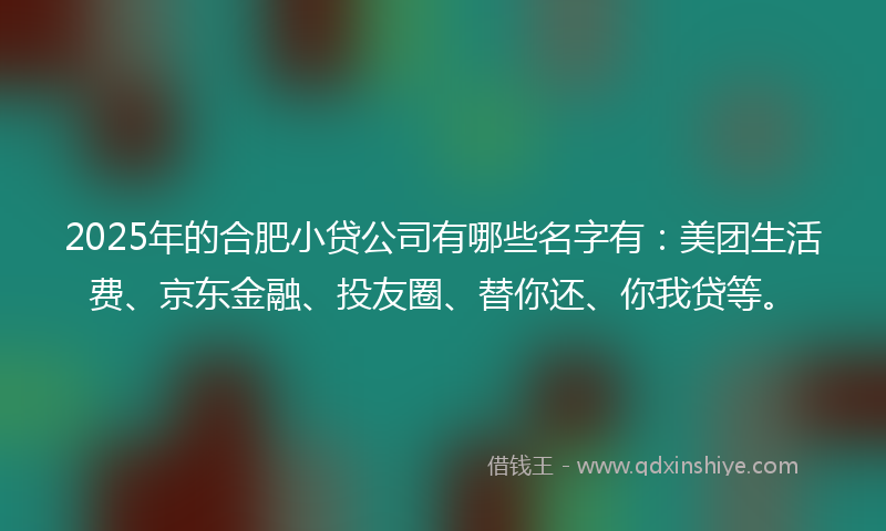 2025年的合肥小贷公司有哪些名字有：美团生活费、京东金融、投友圈、替你还、你我贷等。