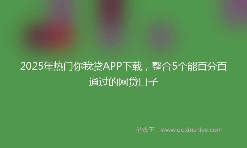 2025年热门你我贷APP下载，整合5个能百分百通过的网贷口子