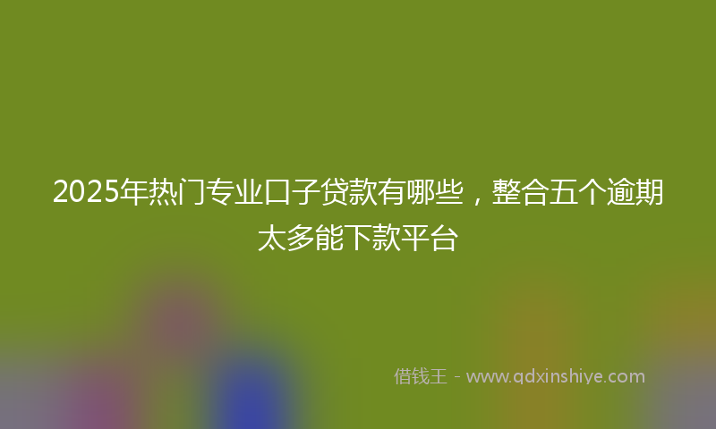 2025年热门专业口子贷款有哪些，整合五个逾期太多能下款平台