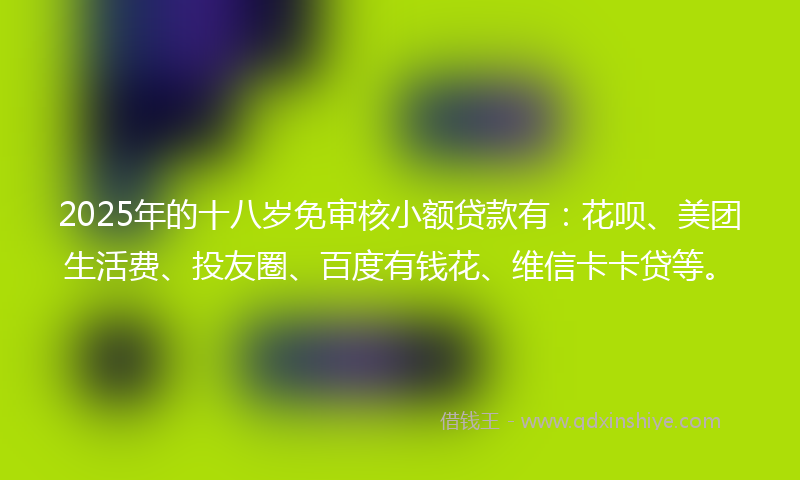 2025年的十八岁免审核小额贷款有：花呗、美团生活费、投友圈、百度有钱花、维信卡卡贷等。