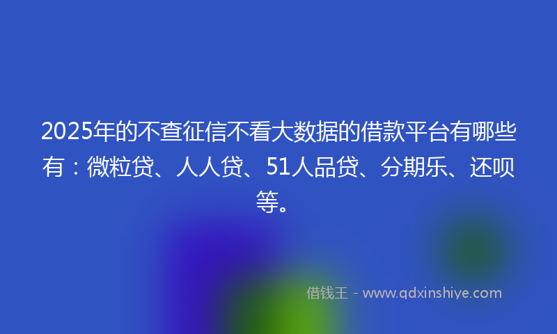 2025年的不查征信不看大数据的借款平台有哪些有：微粒贷、人人贷、51人品贷、分期乐、还呗等。