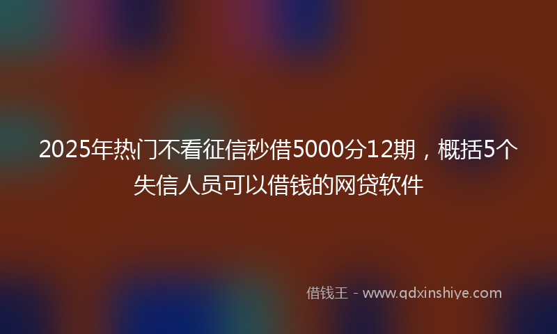 2025年热门不看征信秒借5000分12期，概括5个失信人员可以借钱的网贷软件