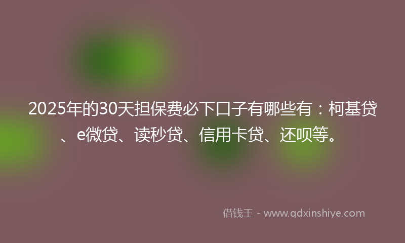 2025年的30天担保费必下口子有哪些有：柯基贷、e微贷、读秒贷、信用卡贷、还呗等。