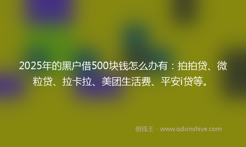 2025年的黑户借500块钱怎么办有：拍拍贷、微粒贷、拉卡拉、美团生活费、平安i贷等。