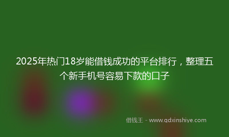 2025年热门18岁能借钱成功的平台排行，整理五个新手机号容易下款的口子