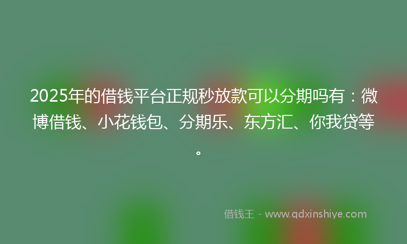 2025年的借钱平台正规秒放款可以分期吗有：微博借钱、小花钱包、分期乐、东方汇、你我贷等。