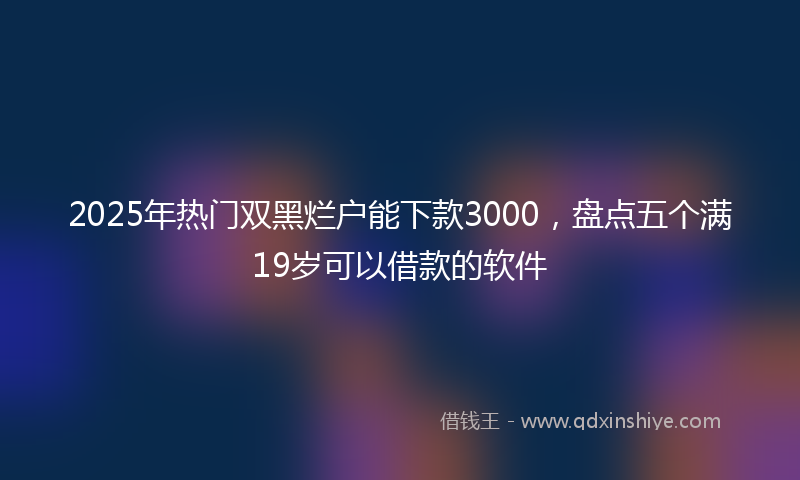 2025年热门双黑烂户能下款3000，盘点五个满19岁可以借款的软件